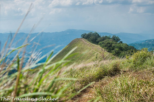 photo of Shirui National Park